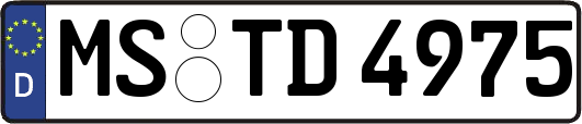 MS-TD4975