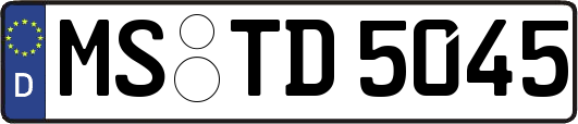 MS-TD5045