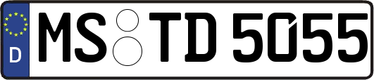 MS-TD5055