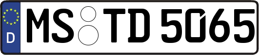 MS-TD5065