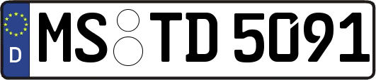 MS-TD5091
