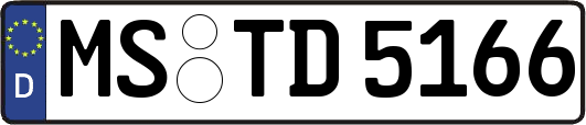 MS-TD5166