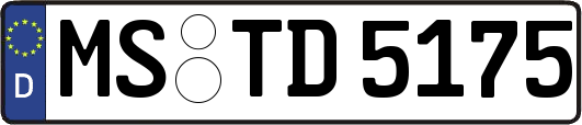 MS-TD5175