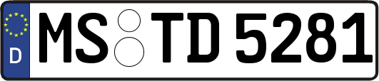 MS-TD5281