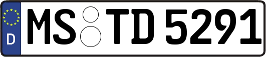 MS-TD5291