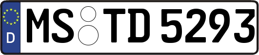MS-TD5293