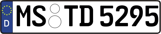 MS-TD5295