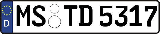 MS-TD5317