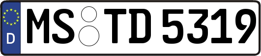 MS-TD5319