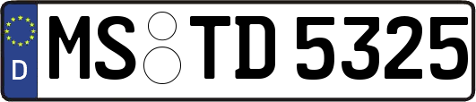 MS-TD5325