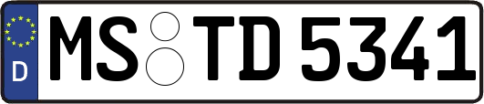 MS-TD5341