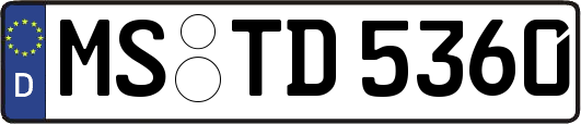 MS-TD5360