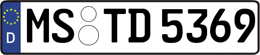 MS-TD5369
