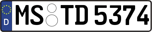 MS-TD5374