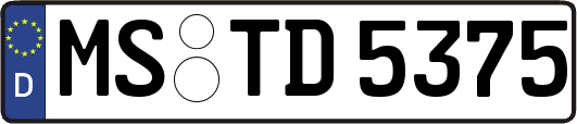 MS-TD5375