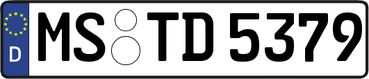 MS-TD5379
