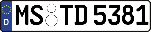 MS-TD5381