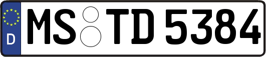 MS-TD5384
