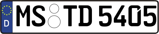 MS-TD5405