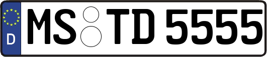MS-TD5555