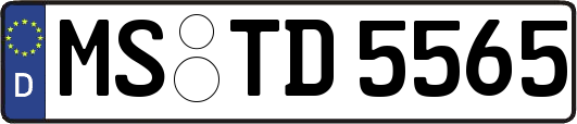 MS-TD5565