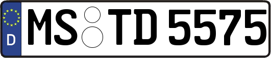 MS-TD5575