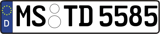 MS-TD5585