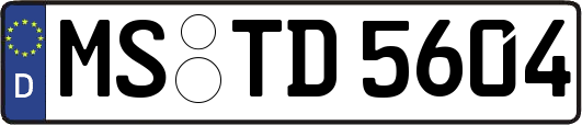 MS-TD5604