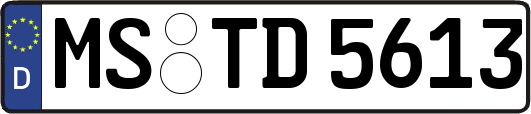 MS-TD5613