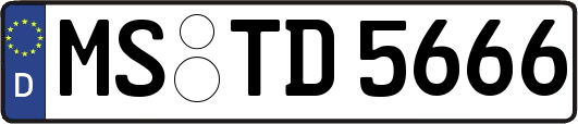 MS-TD5666