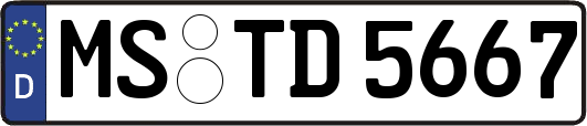 MS-TD5667
