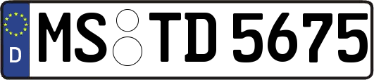 MS-TD5675