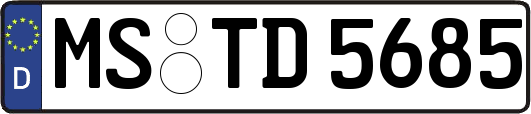 MS-TD5685
