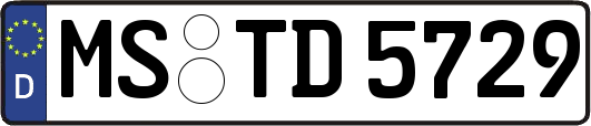 MS-TD5729