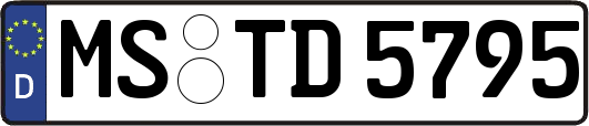 MS-TD5795