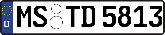 MS-TD5813