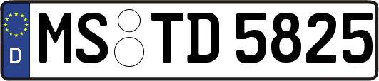 MS-TD5825