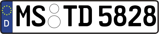 MS-TD5828