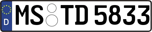MS-TD5833