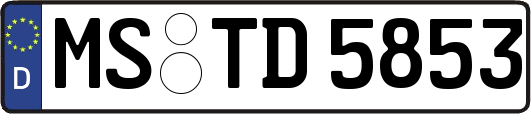 MS-TD5853