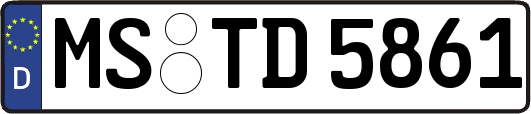 MS-TD5861