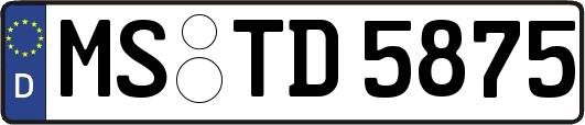 MS-TD5875