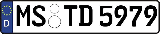 MS-TD5979