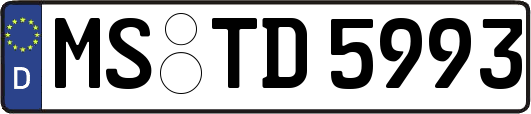 MS-TD5993