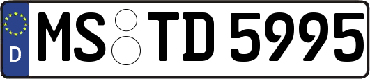MS-TD5995