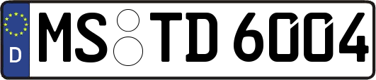 MS-TD6004