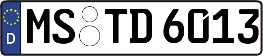 MS-TD6013