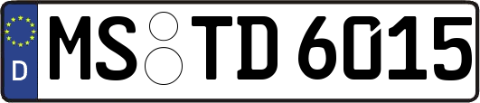 MS-TD6015