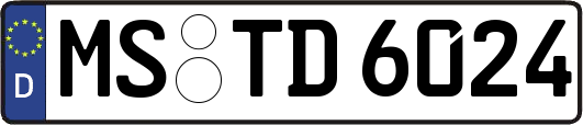 MS-TD6024