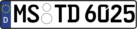 MS-TD6025